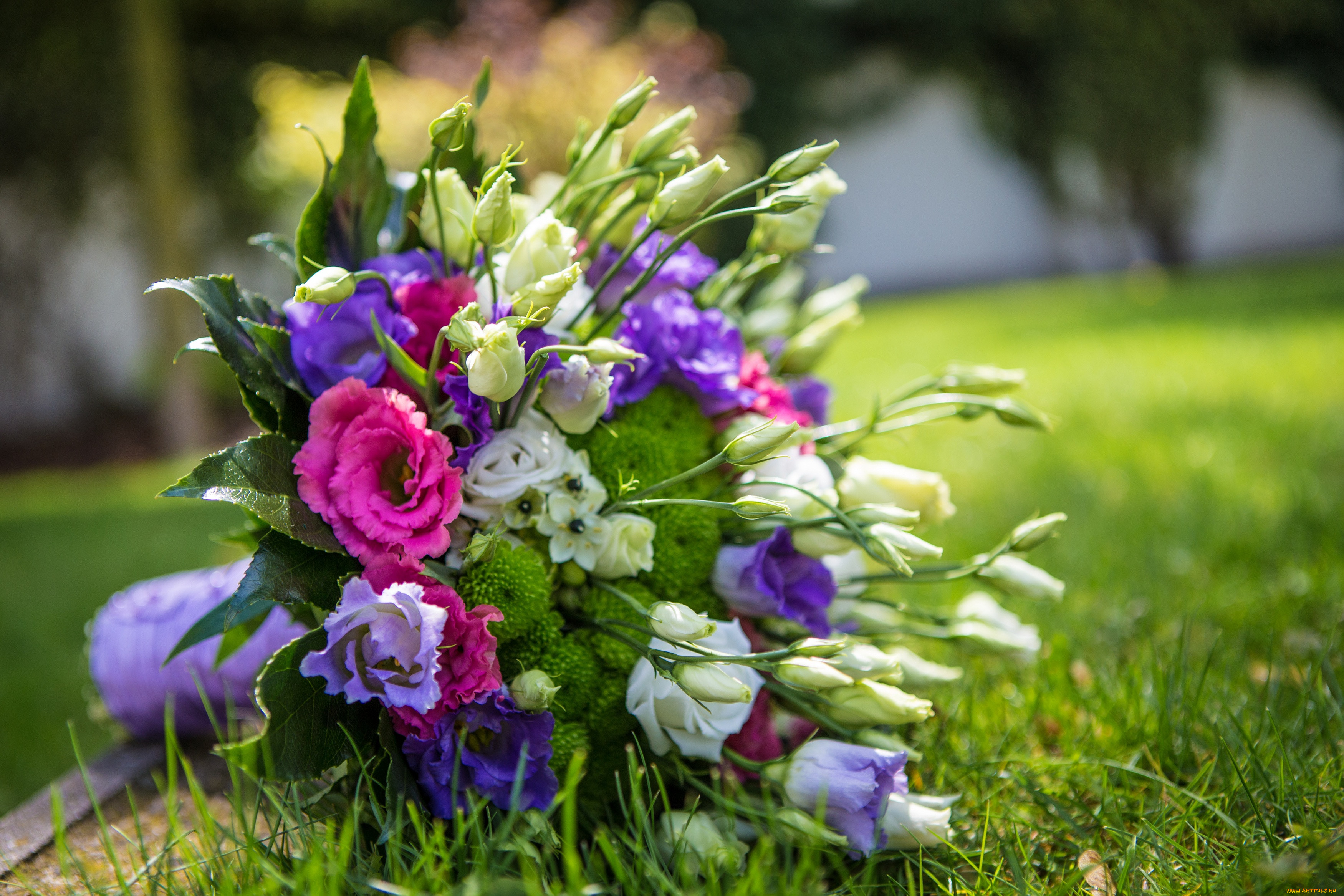 , ,  , , , eustoma, bouquet, flowers